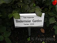 Rose Biedermeier Garden