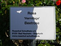 Rose Hermitage