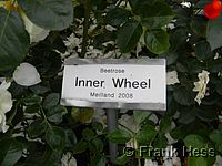 Rose Inner Wheel